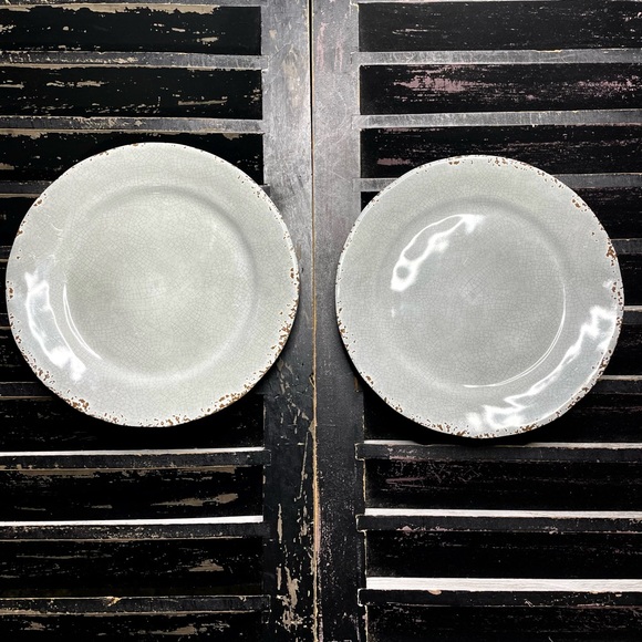 TOMMY BAHAMA Rustic Crackle 9” Melamine Dinner Plates Set of 2 - Picture 2 of 6